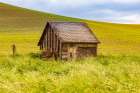 USA-Washington State-Colton-Palouse Green wheat fields Wooden barn or wooden shed Art Print